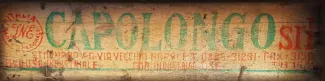 a picture of the side of one of the old wooden fruit boxes, showing the name "Capolongo" in green