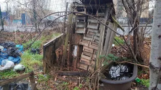 a picture of an old dilapidated wooden shed with the door open showing equally dilapidated stacks of traditional wooden fruit boxes