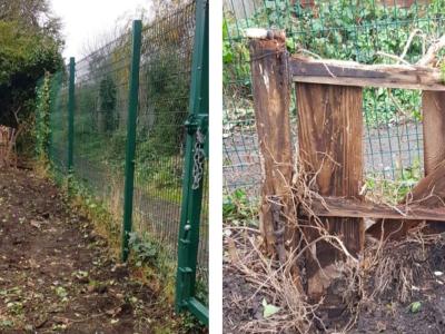 hedgerow and remains of vintage gate