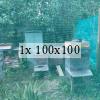 hives on plot