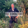 John among the weeds of his new plot
