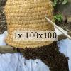 bee swarm by a skep