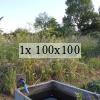 photo of an uncultivated allotment plot