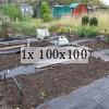 A neat weed-free allotment patch